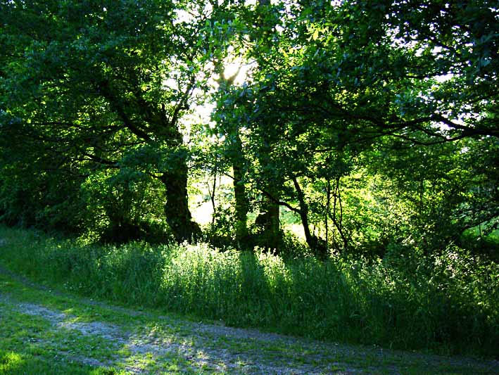 98.chemin_Lescouet