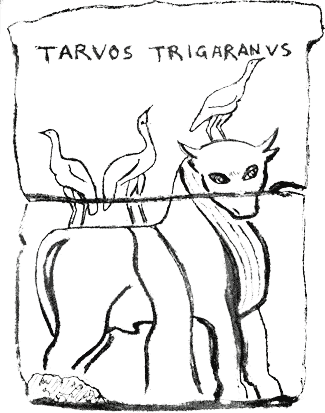 Taruos