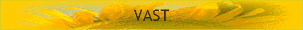 VAST