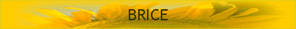 BRICE