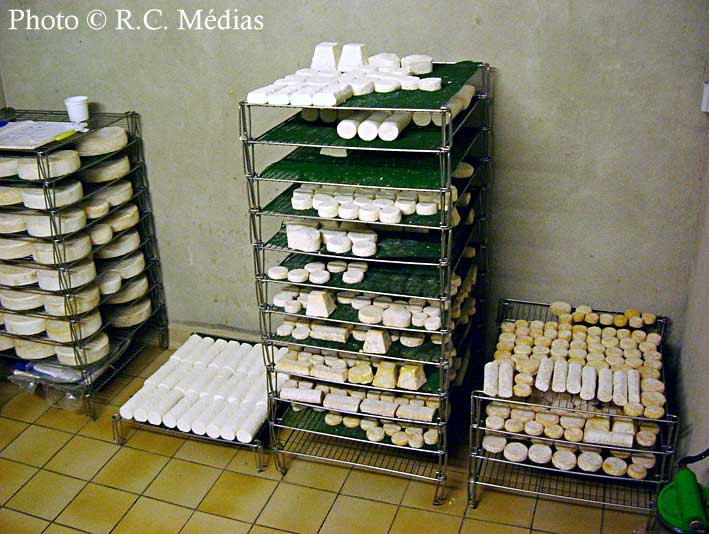 996.Fromage_de_chevre